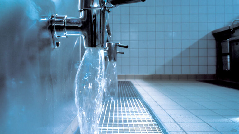 BLCHR_flowcapacity_sol